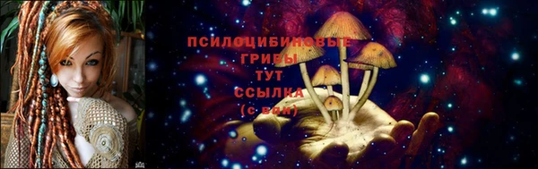 jwh Новокубанск