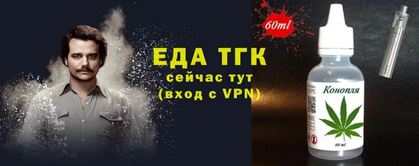 индика Новодвинск