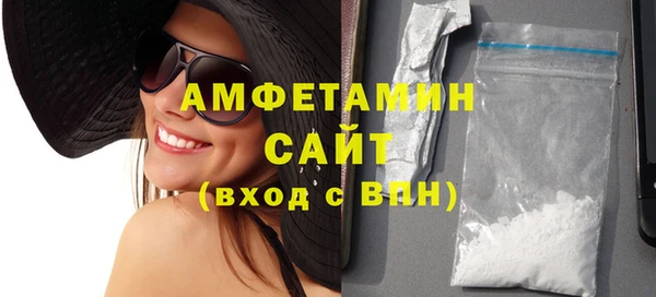 индика Новодвинск