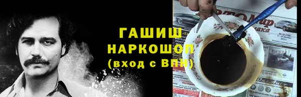 индика Новодвинск