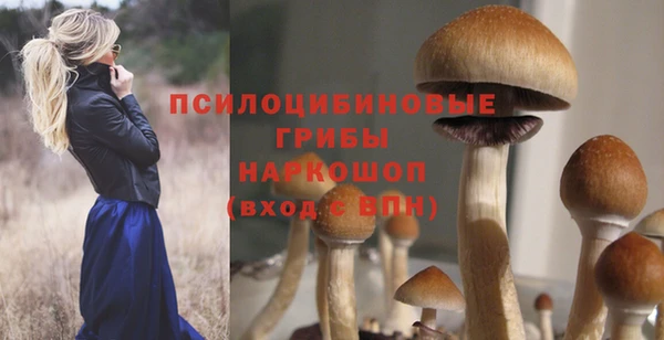 сатива Нея