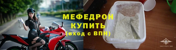индика Новодвинск