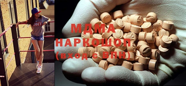 индика Новодвинск