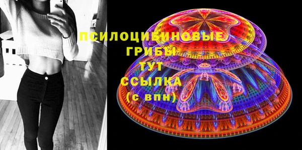 индика Новодвинск