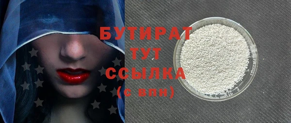 индика Новодвинск