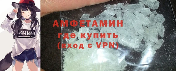 индика Новодвинск