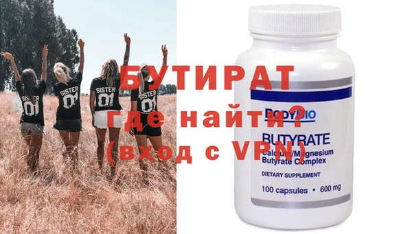 индика Новодвинск