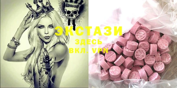 индика Новодвинск