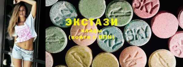 индика Новодвинск