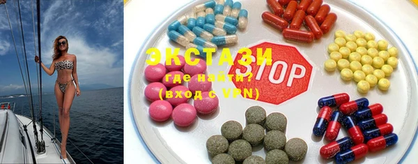 индика Новодвинск