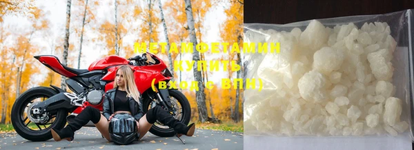 индика Новодвинск
