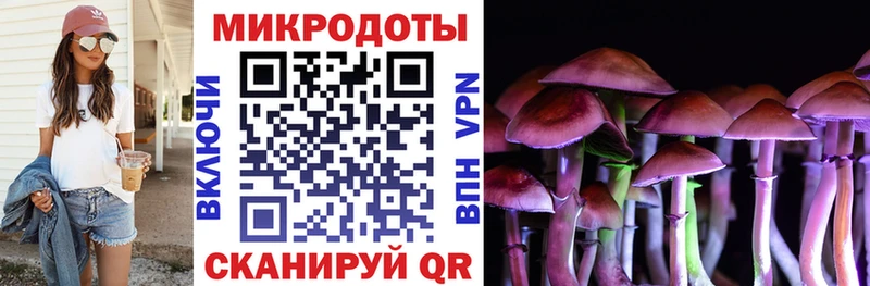 Галлюциногенные грибы мицелий  KRAKEN онион  Кашин  дарнет шоп 